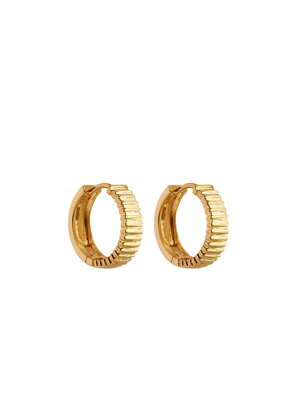 Raya Yellow Gold Huggie Earring