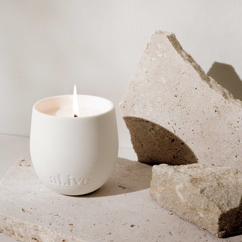 soy candle - dewberry & clove